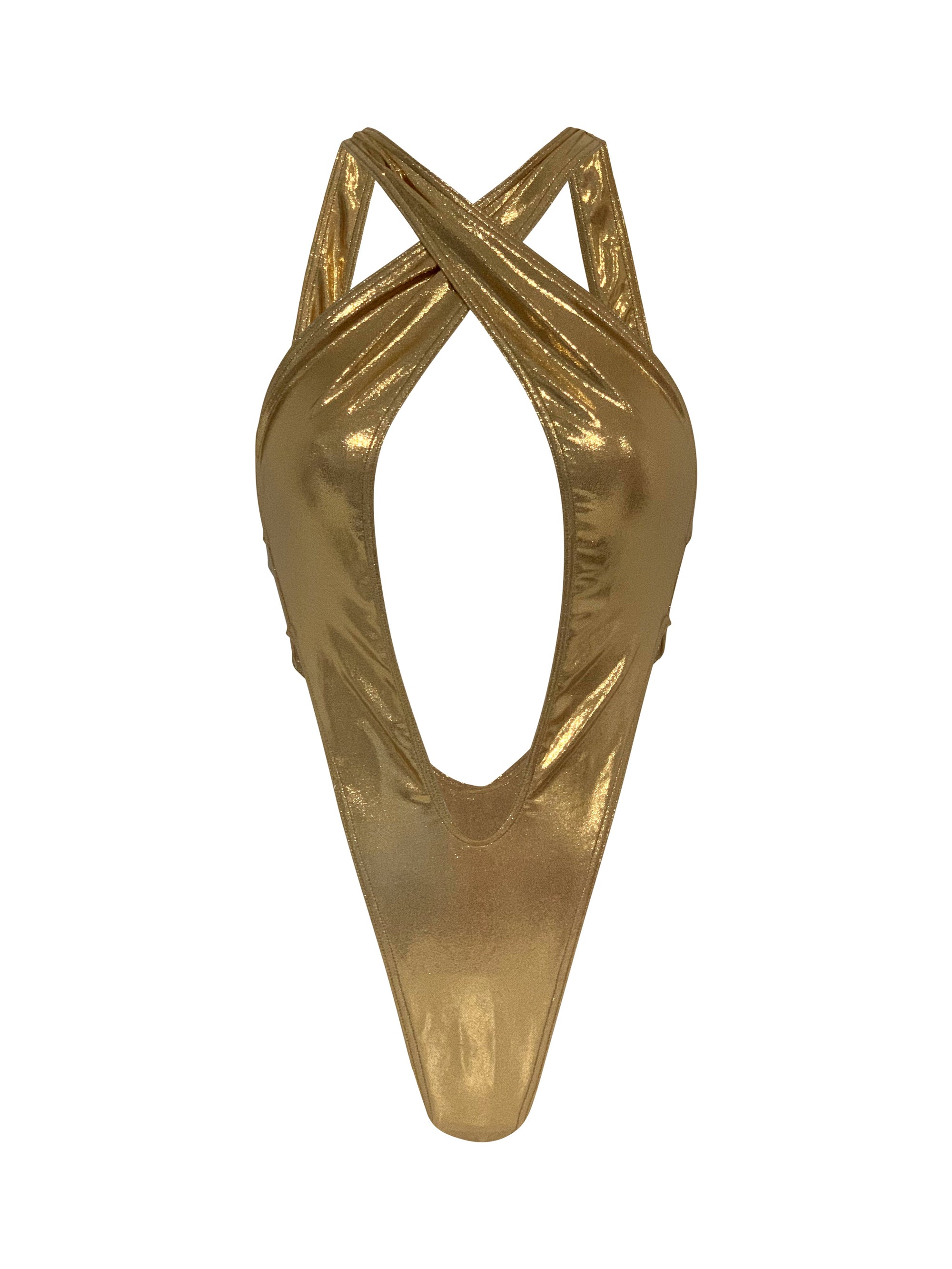 Shine Hallicon Bodysuit